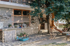 The house in the village